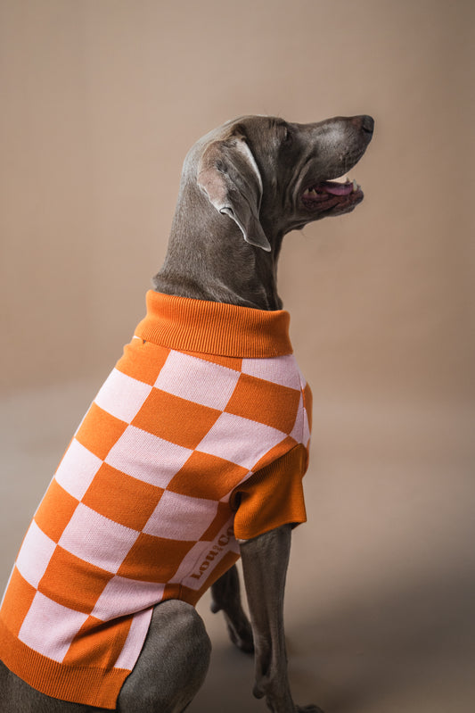 Dog Sweater Orange Checkered
