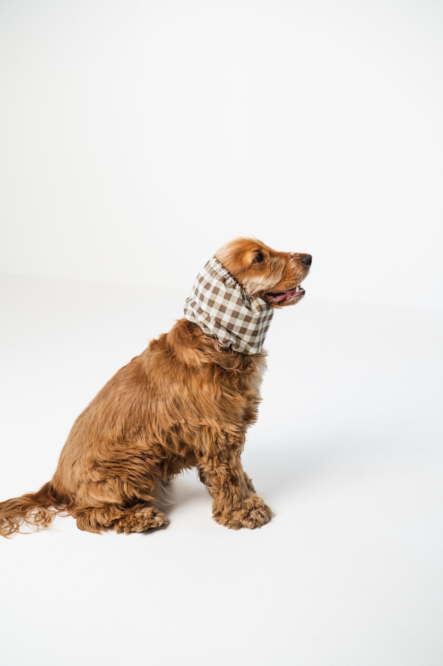 Dog Snood Checkered Brown