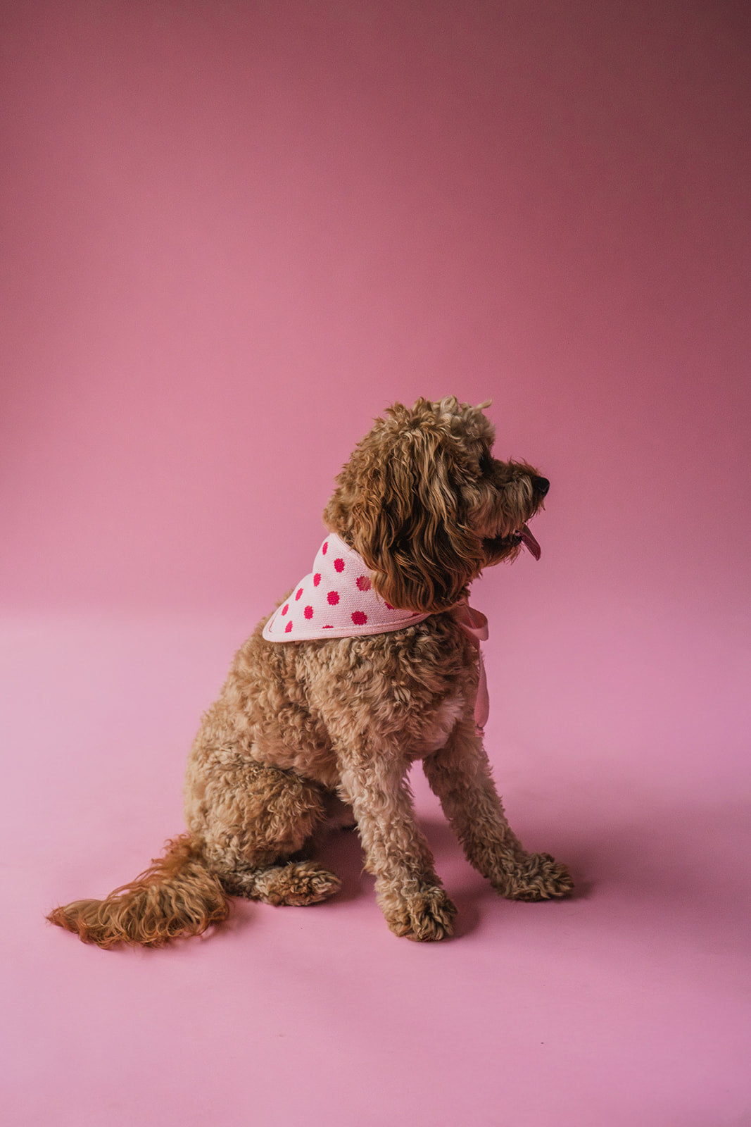 Bandana Pink Dots