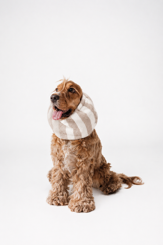 Bamboo Towel Dog Snood Beige Stripes