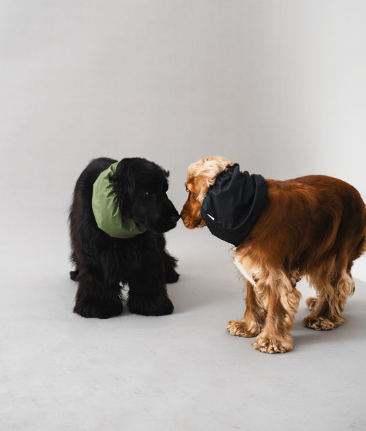 Waterproof Dog Snood Black