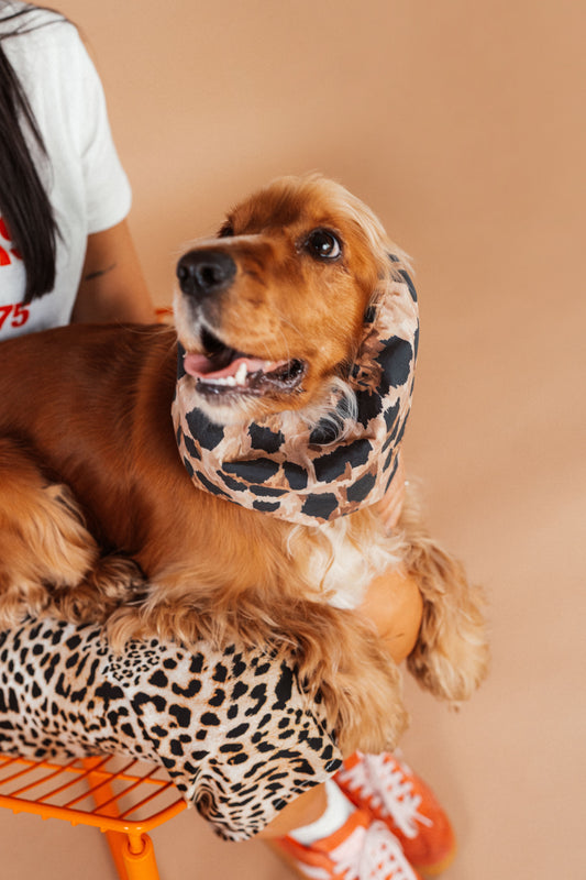 Dog Snood Animal Print