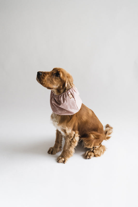 Dog Snood Dusty Pink