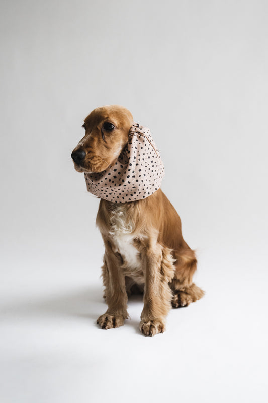 Dog Snood Dots