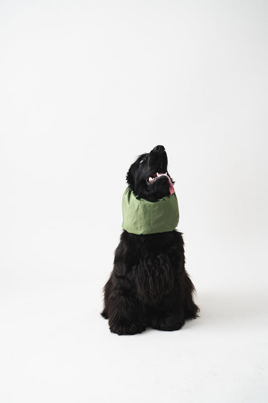 Waterproof Dog Snood Green