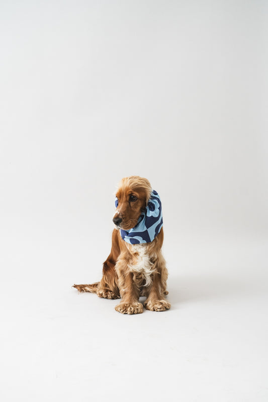 Dog Snood Blue Flowers