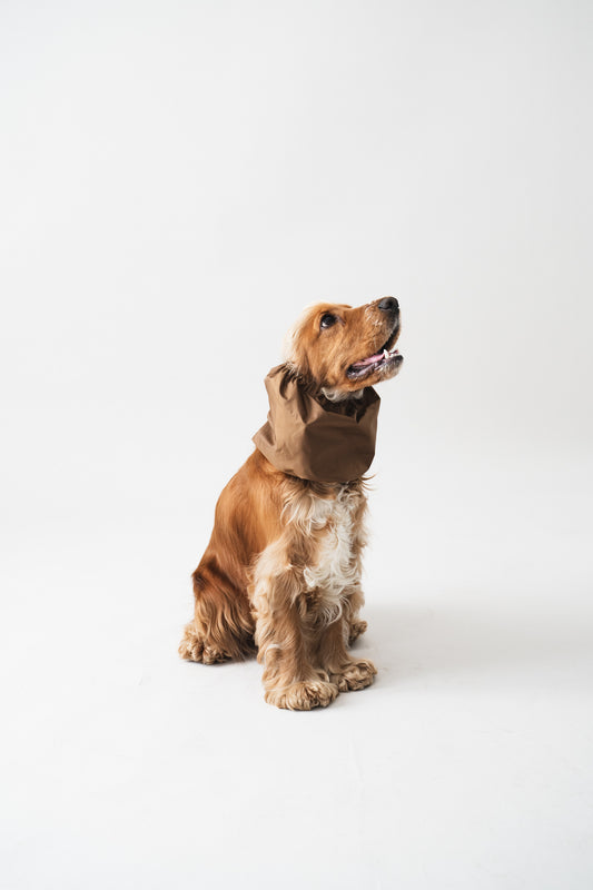 Waterproof Dog Snood Brown