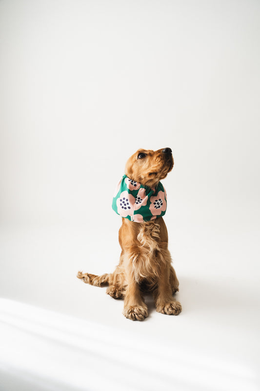 Dog Snood Flower Field