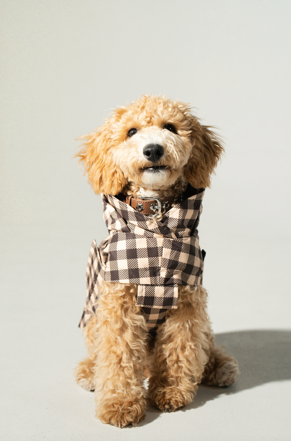 Raincoat Checkered