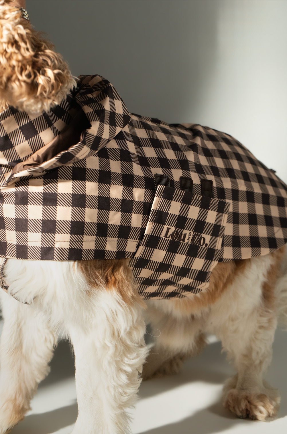 Raincoat Checkered