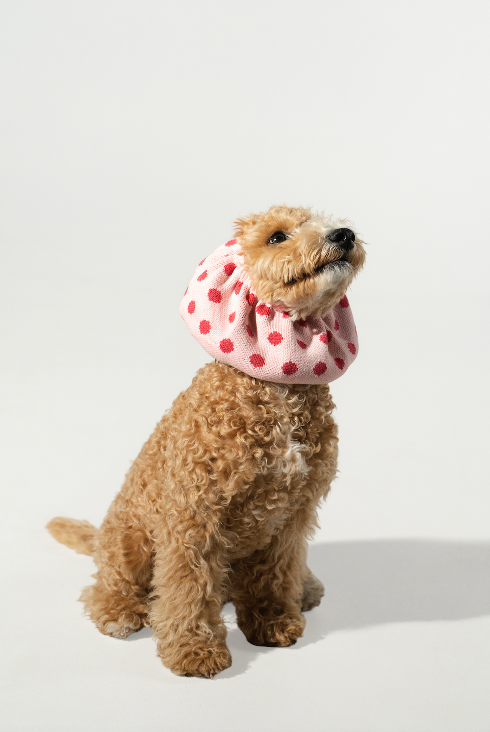 Knitted Snood Pink Dots