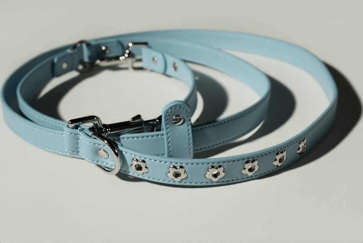 Dog Leash Sky Blue