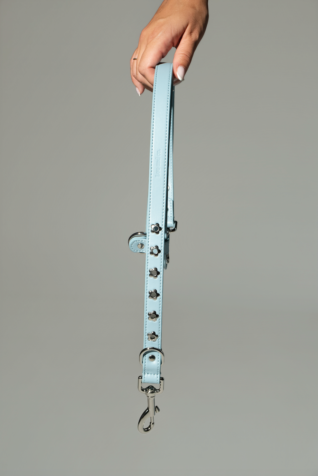 Dog Leash Sky Blue