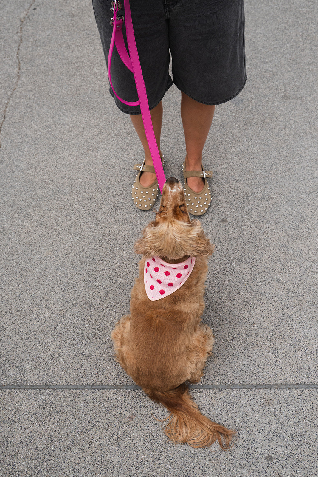 Bandana Pink Dots