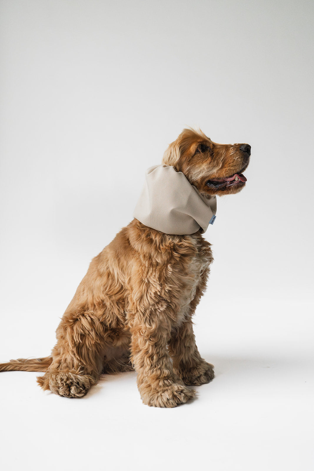 Waterproof Dog Snood Beige