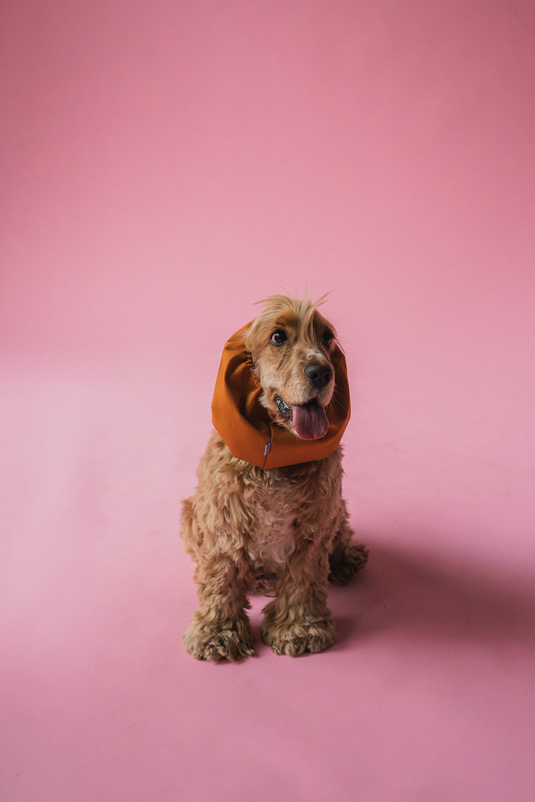 Waterproof Dog Snood Brick