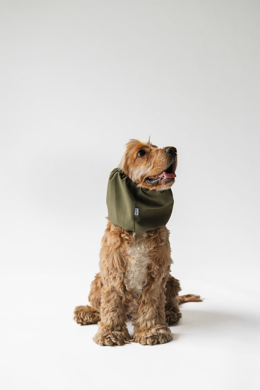 Waterproof Dog Snood Green