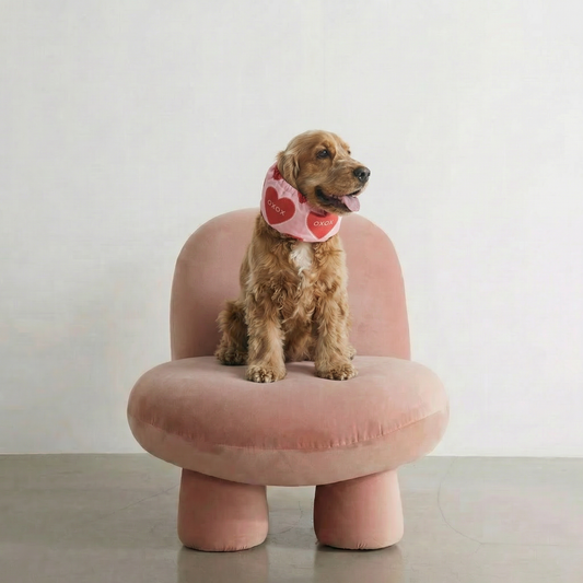 Dog Snood Valentines