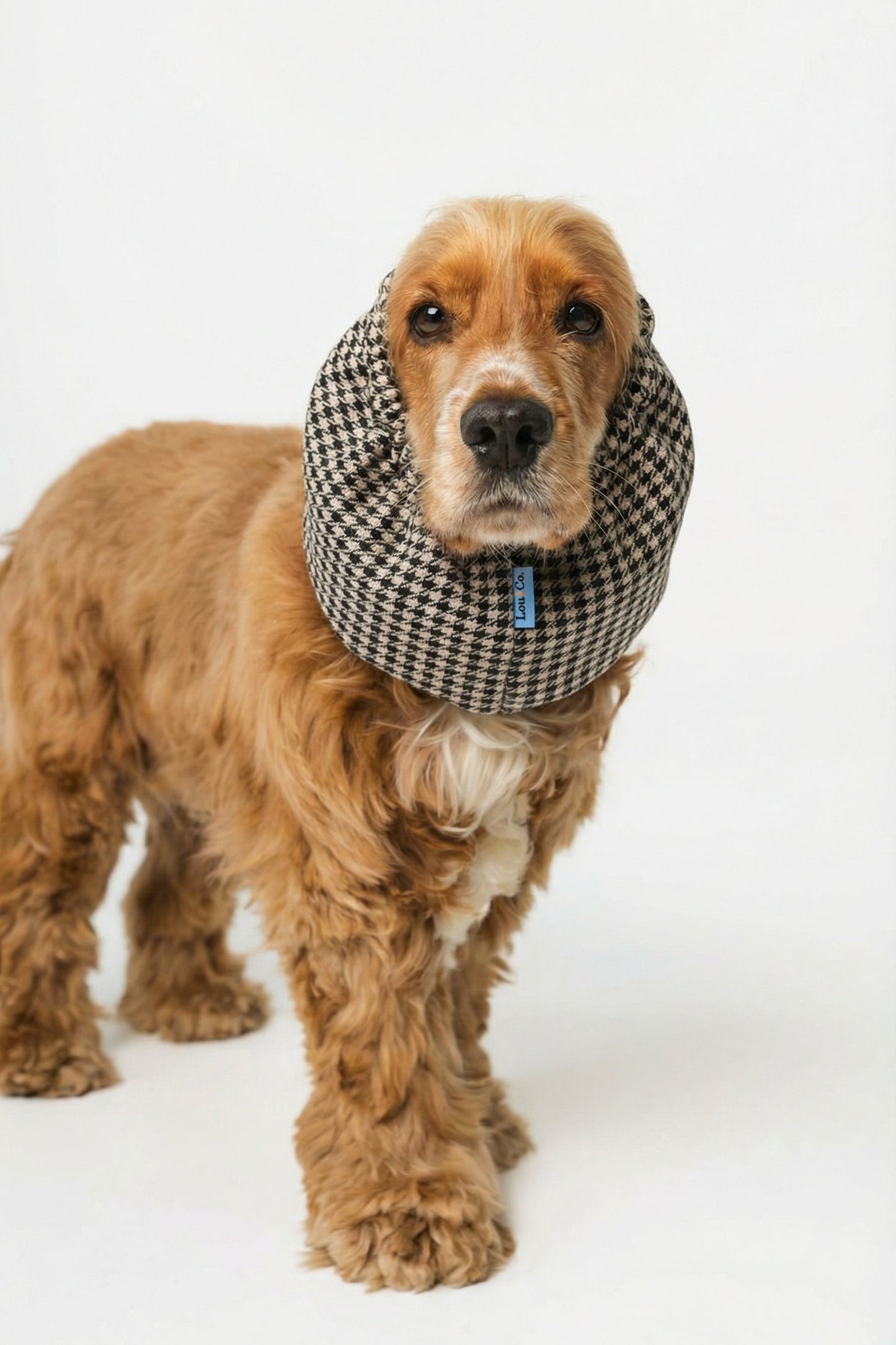 Dog Snood Vichy