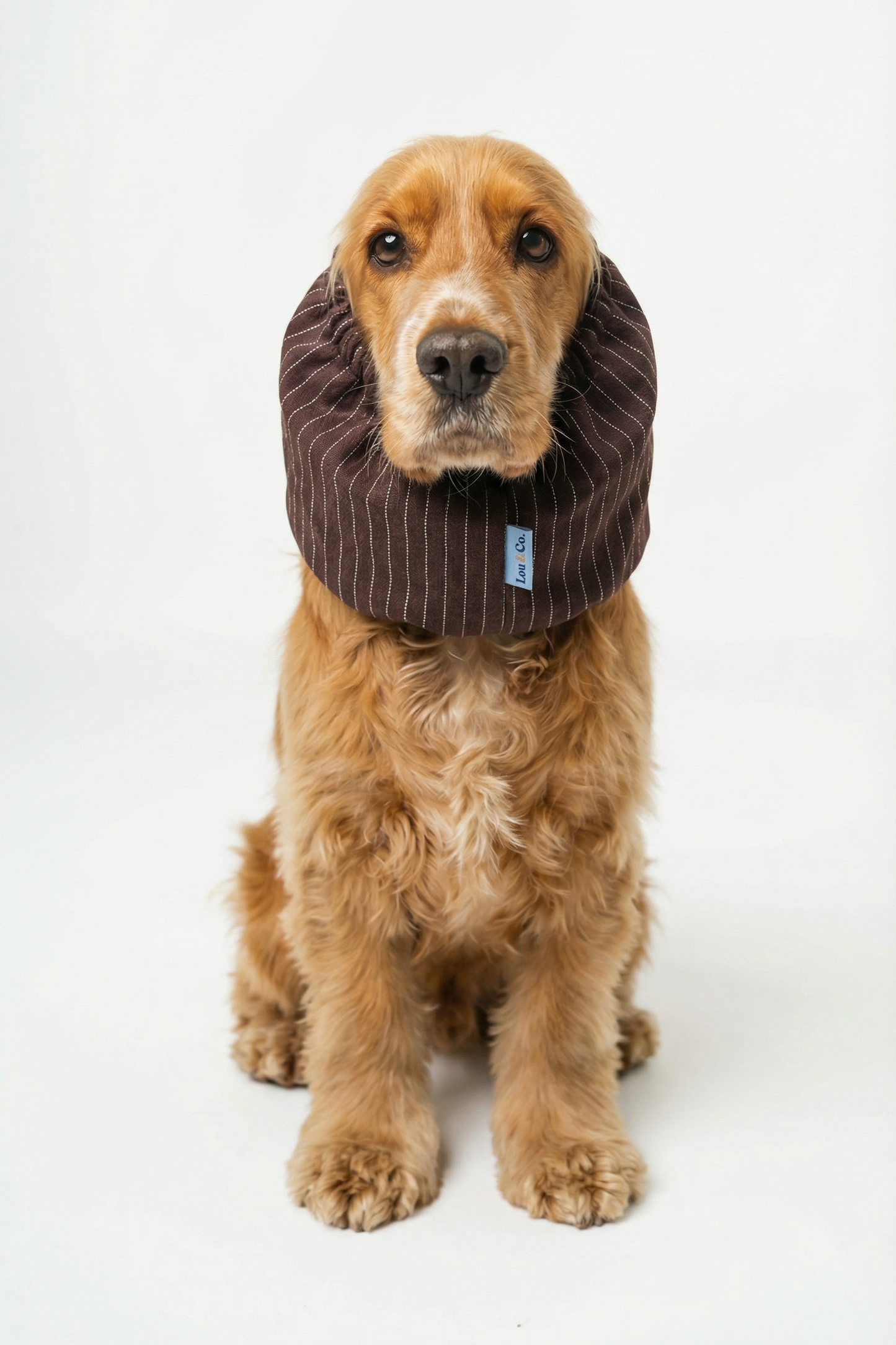 Dog Snood Brown Stripes