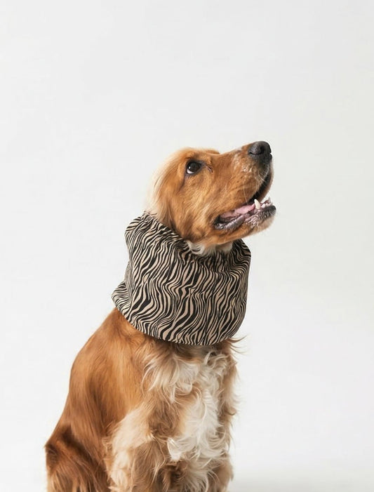 Dog Snood Zebra