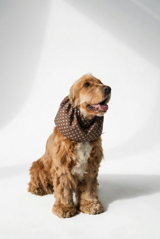 Dog Snood Brown Dots