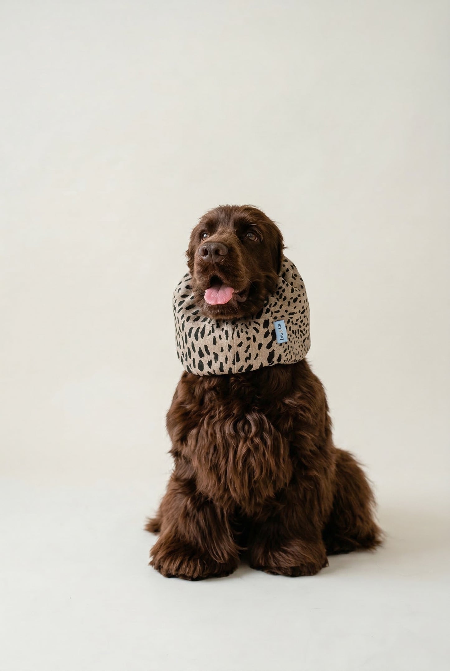 Summer Dog Snood Dune