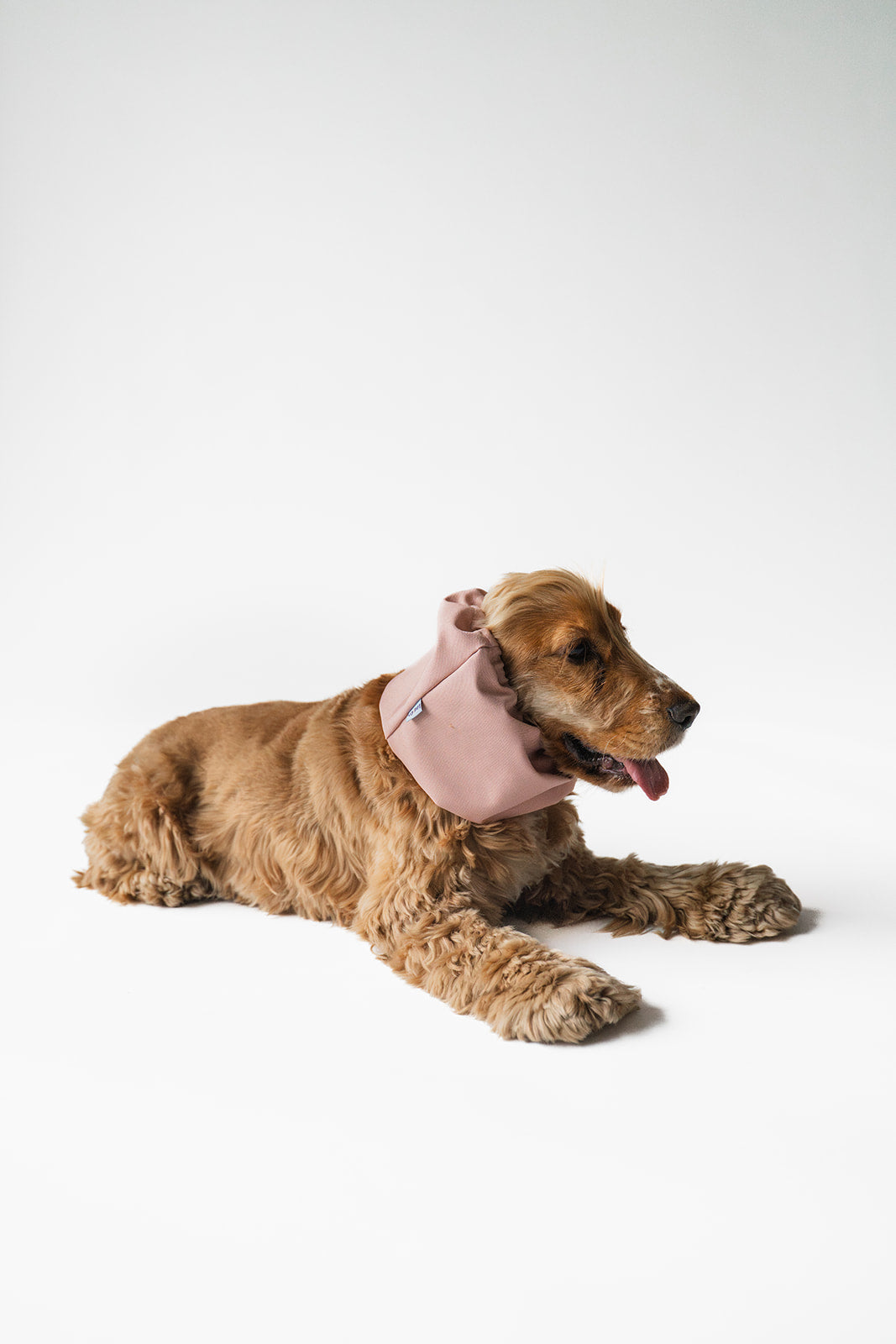 Waterproof Dog Snood Dusty Pink
