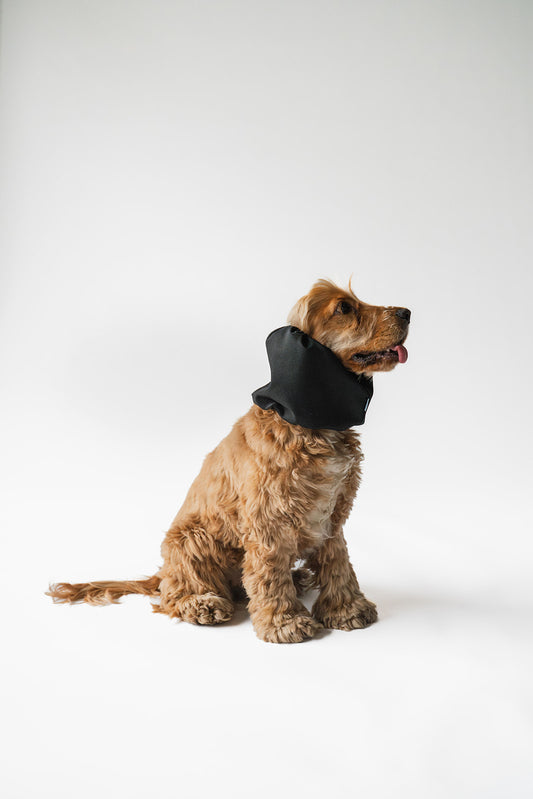 Waterproof Dog Snood Black