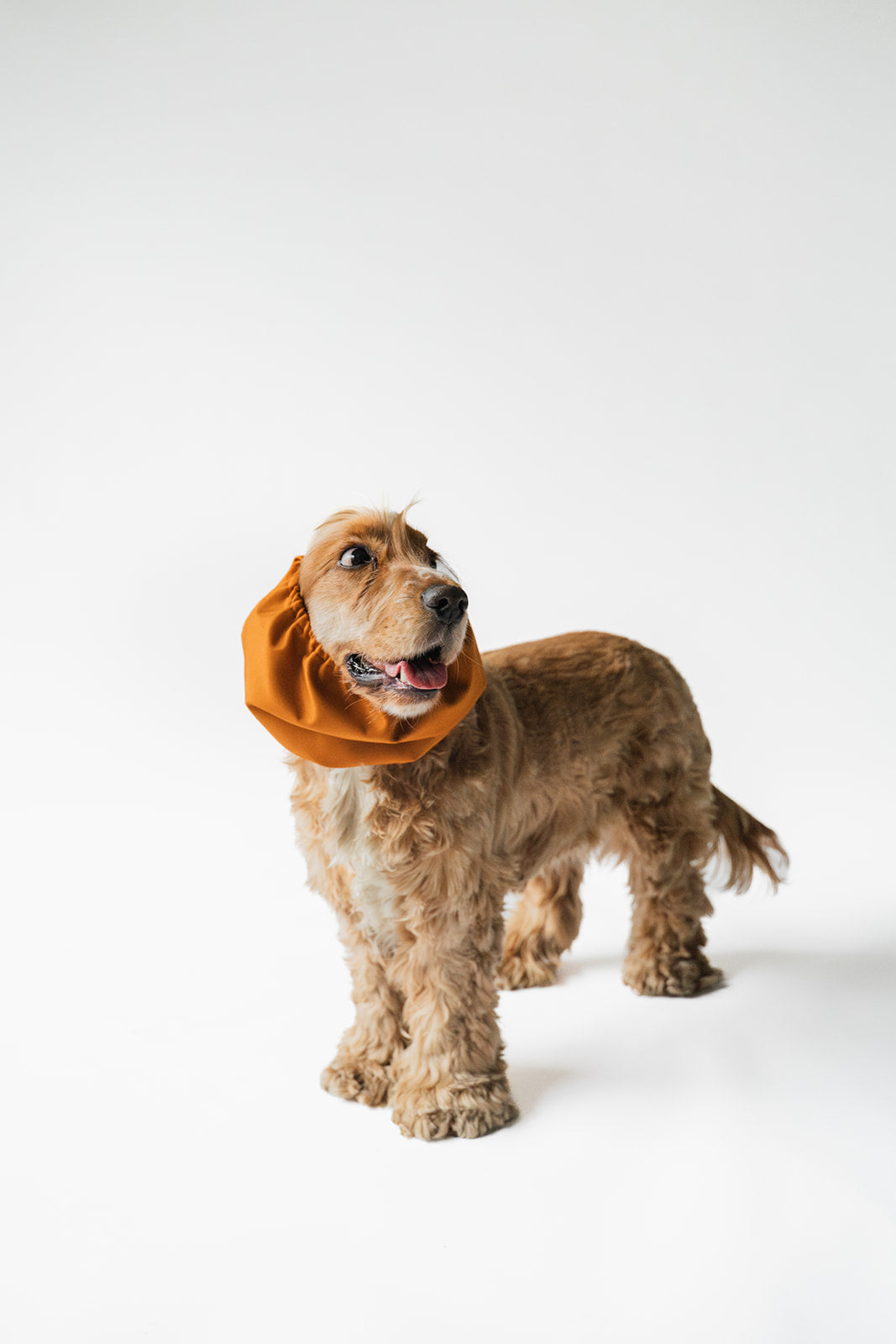 Waterproof Dog Snood Brick